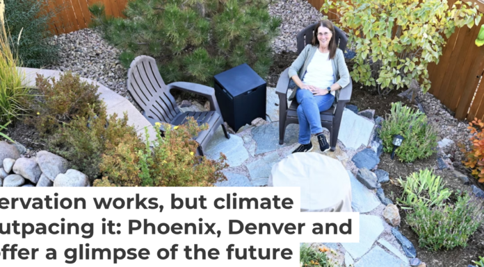 The Denver suburb of Castle Rock, Colo., limits water use in future developments. Homeowners are embracing water-efficient yards. RJ Sangosti/MediaNews Group/The Denver Post via Getty Images